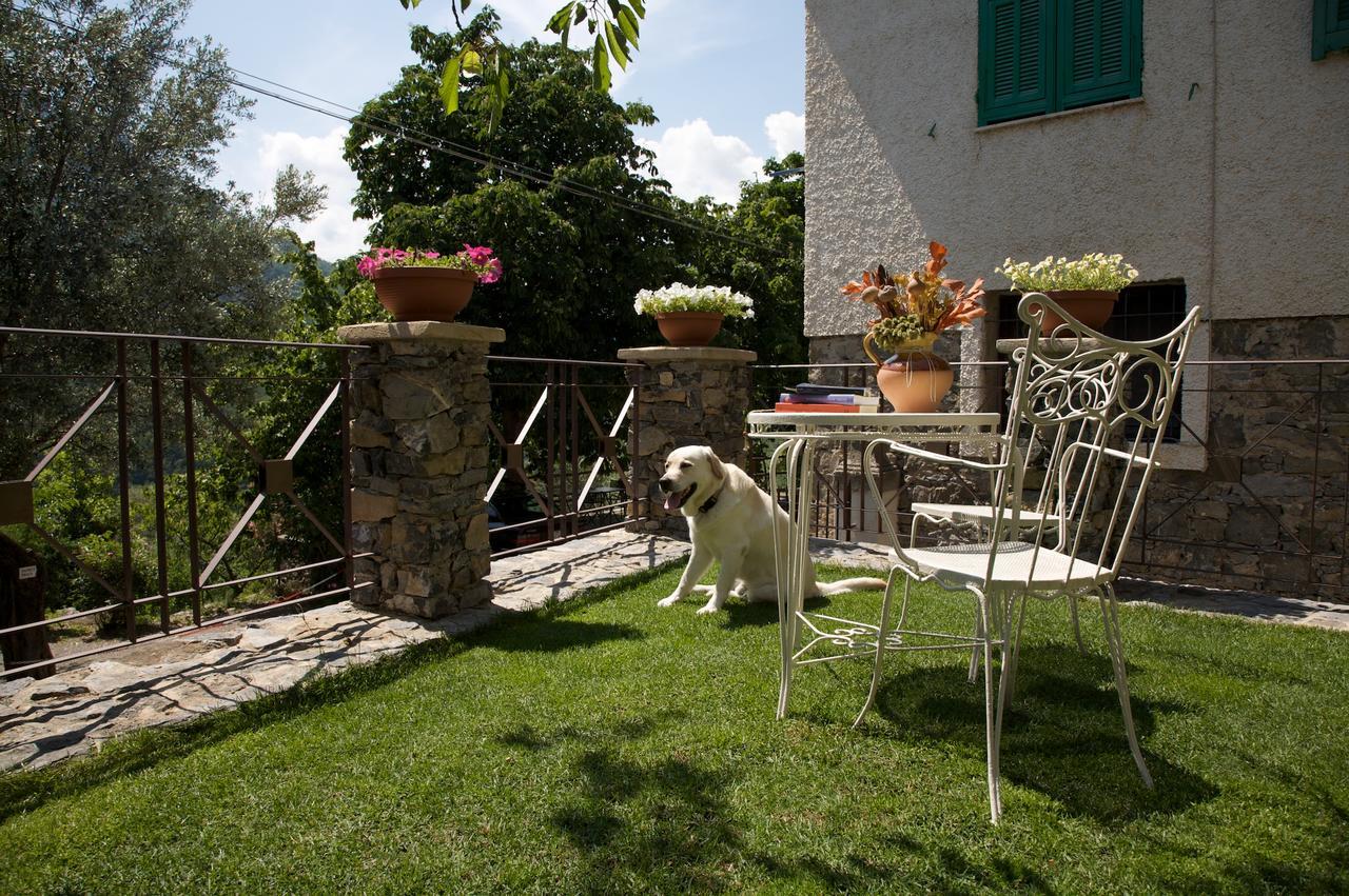 Colletta La Casa Dei Nonni Castelbianco B&B 외부 사진