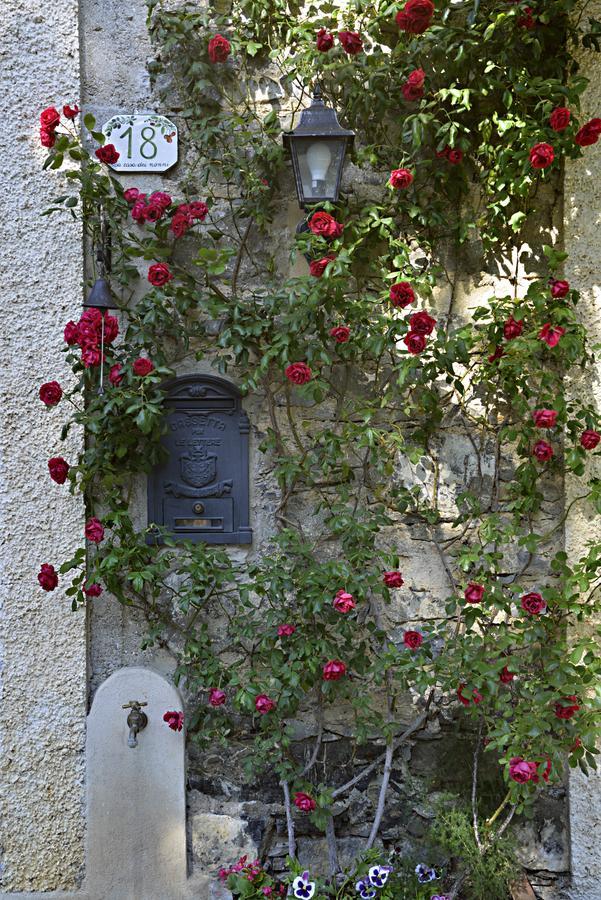 Colletta La Casa Dei Nonni Castelbianco B&B 외부 사진